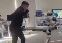 robot 1 1200x630.jpg