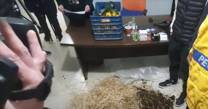 sanos 1200x630.jpg sanos 1200x630.jpg