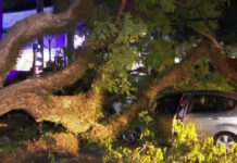 Βραζιλία: Κυκλώνας «σάρωσε» το Σάο Πάολο – 2 εκατ. κάτοικοι χωρίς ρεύμα, ακυρώσεις εκατοντάδων πτήσεων saopaolo 1200x630.jpg