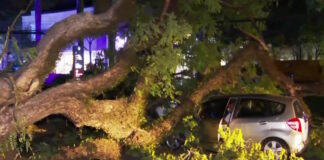 saopaolo 1200x630.jpg