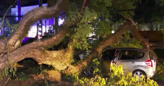 saopaolo 1200x630.jpg saopaolo 1200x630.jpg