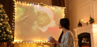 shutterstock 2232913259.jpg