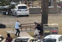 Σίδνεϊ: «Οι εκτελεστές του μακελειού στην παραλία Μποντάι έδρασαν μόνοι» sidnei 1 1200x630.jpg