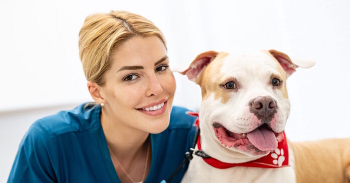 skylos3 1200x630.jpeg