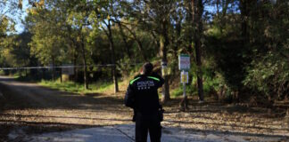 spain army pigs reuters 1200x630.jpg