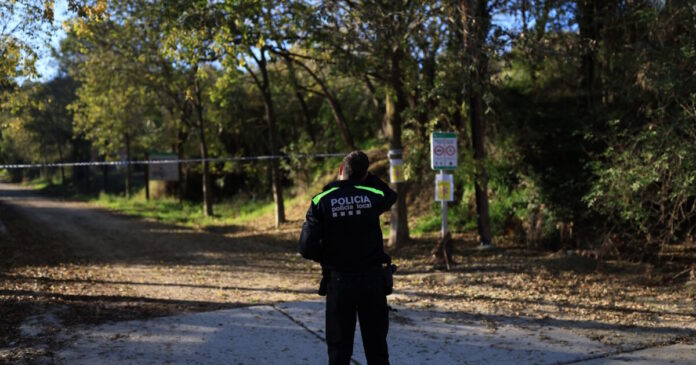 spain army pigs reuters 1200x630.jpg