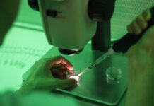 Επτά κλινικές στην Ελλάδα έλαβαν το σπέρμα του Δανού δότη με το γονίδιο καρκίνου – Εντοπίστηκαν 4 περιπτώσεις φορέων sperm fertilise 1200x630.jpg