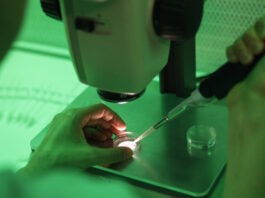 Επτά κλινικές στην Ελλάδα έλαβαν το σπέρμα του Δανού δότη με το γονίδιο καρκίνου – Εντοπίστηκαν 4 περιπτώσεις φορέων sperm fertilise 1200x630.jpg