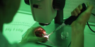 sperm fertilise 1200x630.jpg