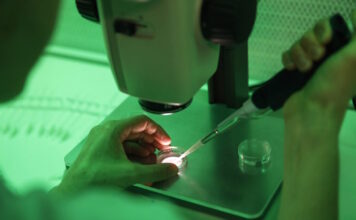 sperm fertilise 1200x630.jpg