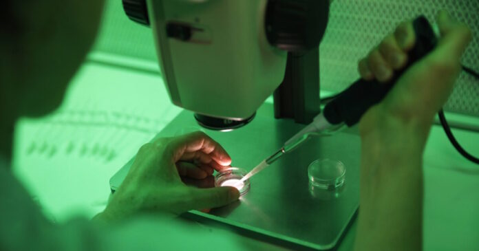 sperm fertilise 1200x630.jpg sperm fertilise 1200x630.jpg