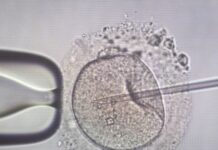 Πλημμελείς οι έλεγχοι των δοτών γενετικού υλικού πανευρωπαϊκά – Η Ελλάδα εξακολουθεί να παίρνει σπέρμα από τη Δανία sperm injection 1200x630.jpg