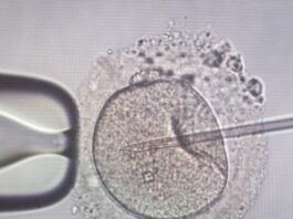 sperm injection 1200x630.jpg