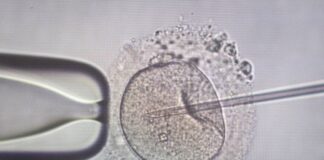 sperm injection 1200x630.jpg