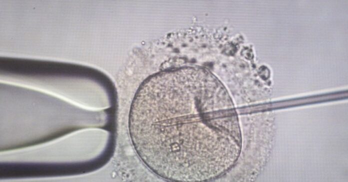 sperm injection 1200x630.jpg sperm injection 1200x630.jpg