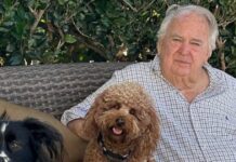 stephen 1200x630.jpg