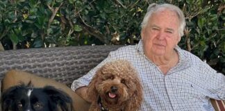 stephen 1200x630.jpg