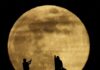 supermoon spain 1200x630.jpg