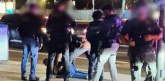 syllipsi nick reiner3 1200x630.jpg