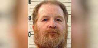 tenessie 1200x630.jpg