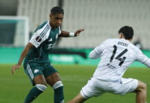 tete pao plzen 1200x630.jpg