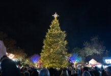 Θεσσαλονίκη: Φωταγωγήθηκε το Χριστουγεννιάτικο Δέντρο που στολίζει το «Χωριό των Μαγεμένων» thessaloniki xristougenniatiko dentro1 15122025 1200x630.jpg