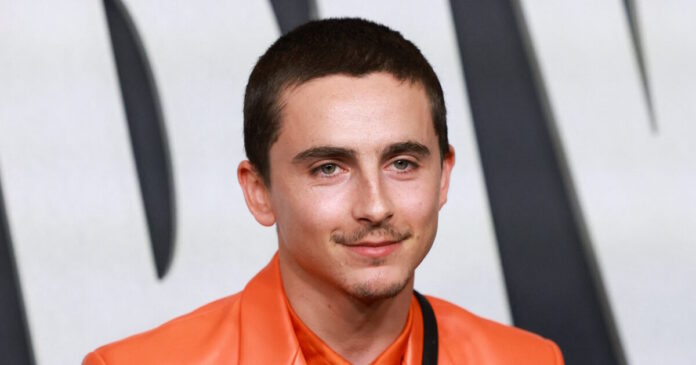 timothee chalamet 1200x630.jpg