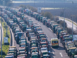 trakter eurok 2 1 1200x630.jpg