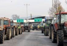 trakter promaxonas 1200x630.jpg