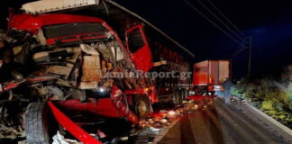 troxaio amfikleia 1200x630.jpg