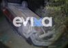 Θανατηφόρο τροχαίο στην Εύβοια: Αυτοκίνητο έπεσε από γέφυρα, νεκρός ο οδηγός troxaio evoia 3 1200x630.jpg