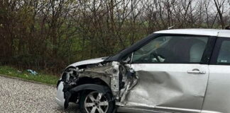 troxaio karditsa3 1200x630.jpg