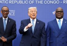 trump 2 1200x630.jpg