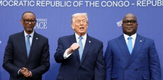 trump 2 1200x630.jpg