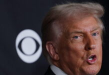 trump 6 1200x630.jpg