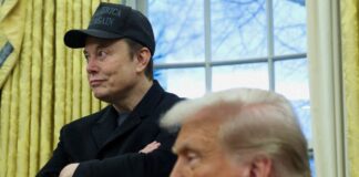 trump musk r 1200x630.jpg