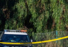 Φλόριντα: Ανήλικοι παρέσυραν 14χρονη στο δάσος, την πυροβόλησαν και την έκαψαν usa police 1200x630.jpg