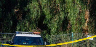 usa police 1200x630.jpg