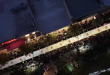 vasilopita 1200x630.jpg