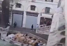 Βενετία: Γυναίκα έκλεψε σκάφος με δέματα και «καρφώθηκε» στον τοίχο δίπλα από τη διάσημη γέφυρα του Ριάλτο venetia2 1200x630.jpg