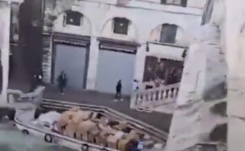 venetia2 1200x630.jpg