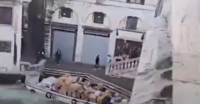 venetia2 1200x630.jpg venetia2 1200x630.jpg