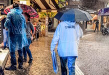 vroxi 10 1200x630.jpg