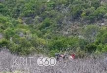 xania distixima 1 1200x630.jpg