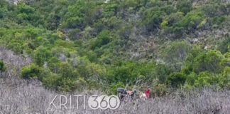 xania distixima 1 1200x630.jpg