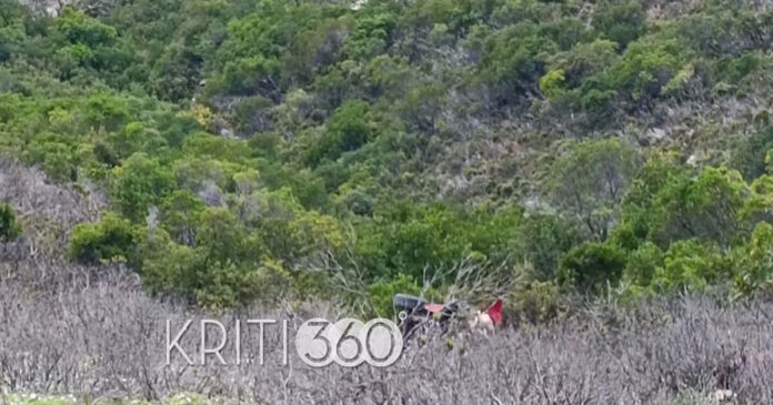 xania distixima 1 1200x630.jpg