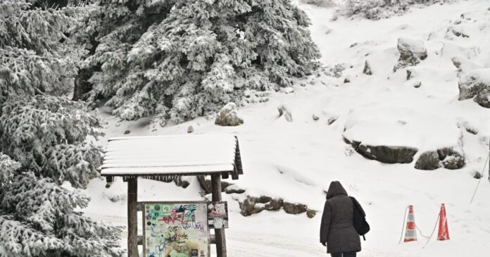 xioni parnitha 1200x630.jpg