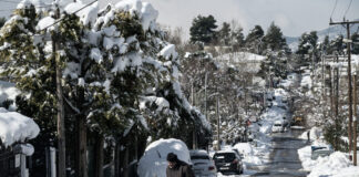 xionia eurok 1 1200x630.jpg