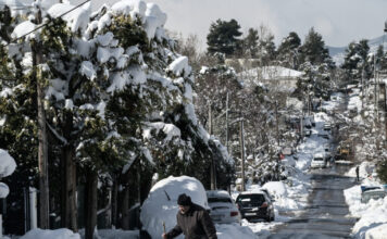 xionia eurok 1 1200x630.jpg