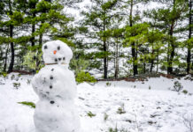 xionia2 eurok 1200x630.jpg